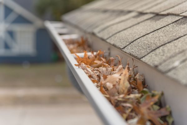 Leaf Barrier Installation in Mentor